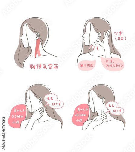胸鎖乳突筋をマッサージする女性のイラストセット
