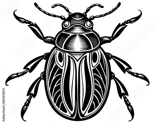 Intricate black and white scarab beetle illustration
