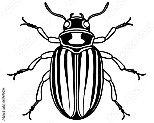 Stylized black and white illustration of a striped beetle