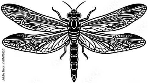 Detailed black and white dragonfly illustration