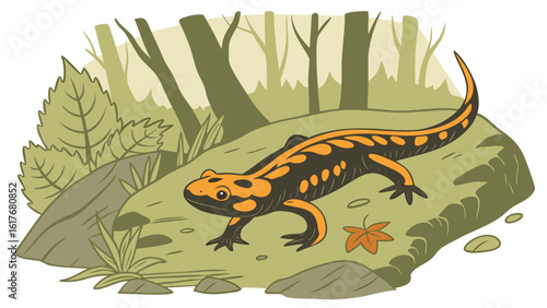 Illustration of a fire salamander in a forest setting