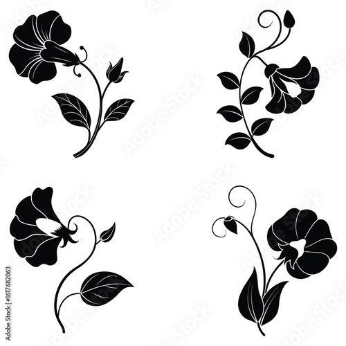 Sweet Pea Flower Vector Silhouette with Graceful Ruffles and Climbing Tendrils Botanical Illustration Design