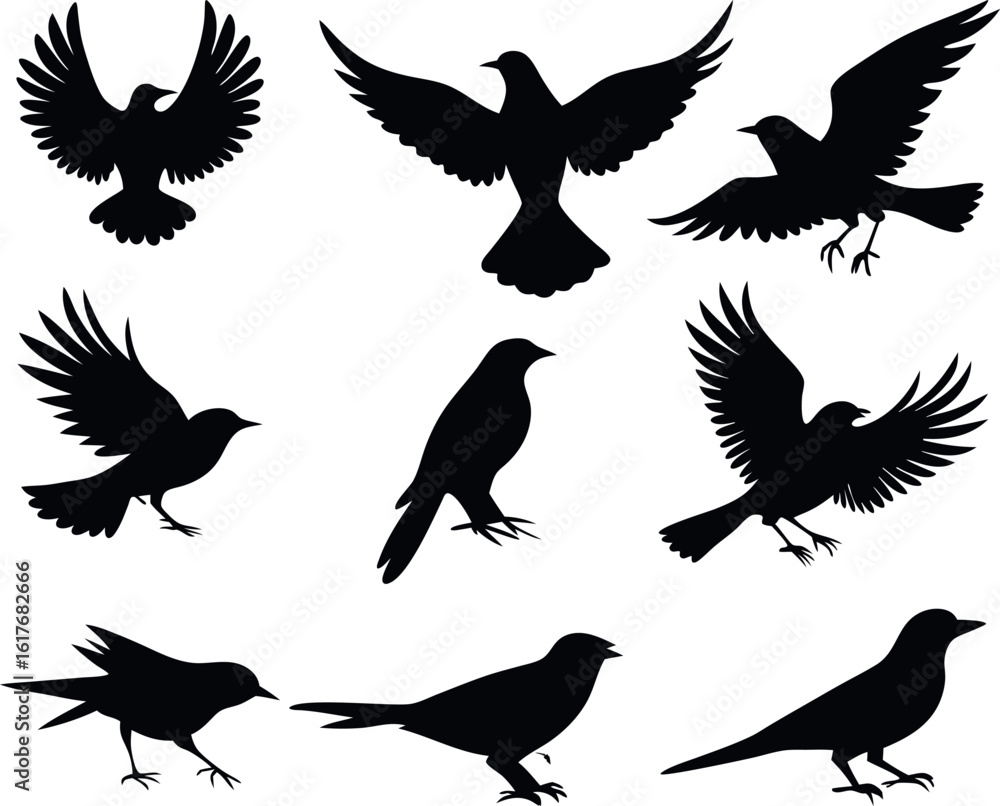 Obraz premium A collection of black bird silhouettes for graphic design