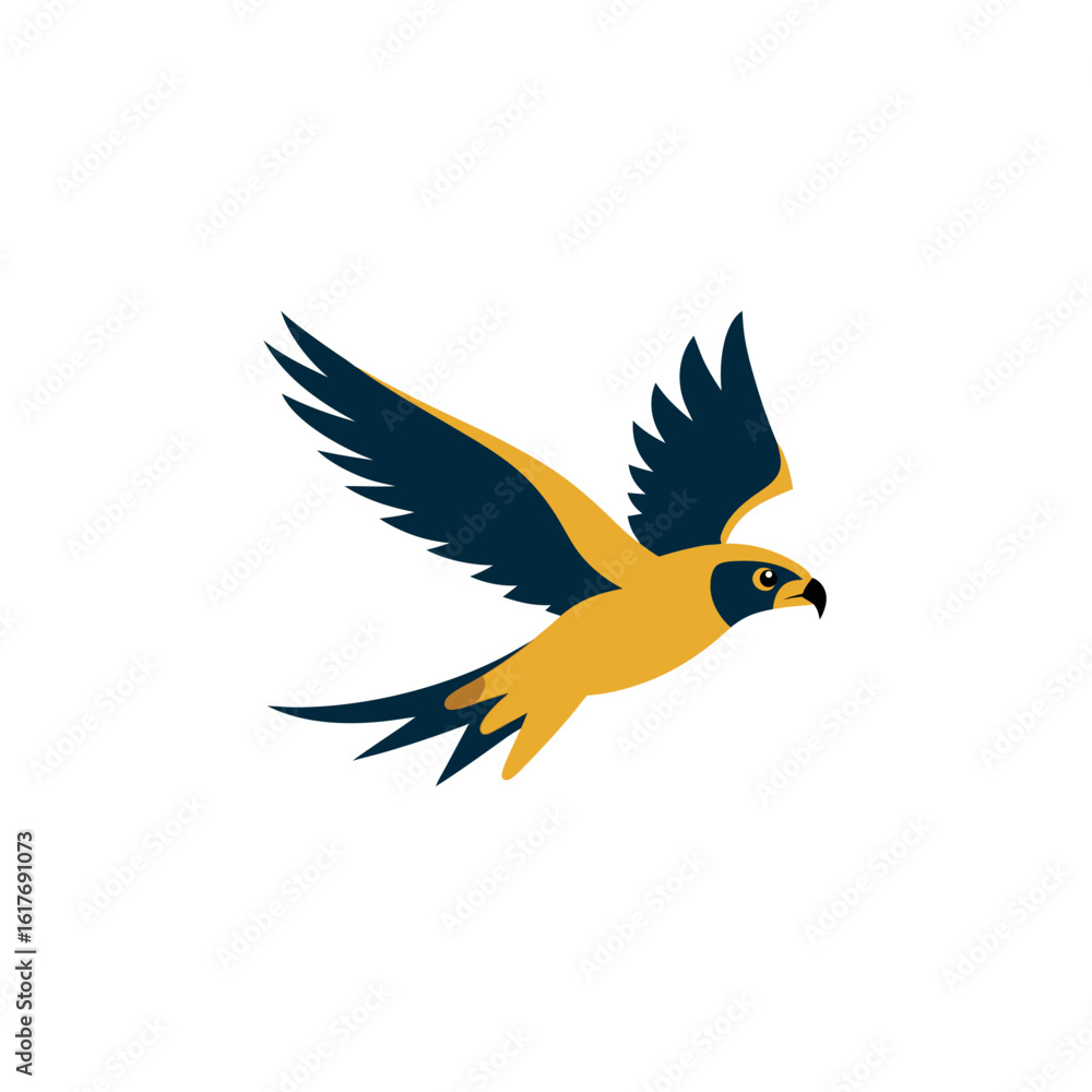 Obraz premium falcon diving toward prey with wings tucked