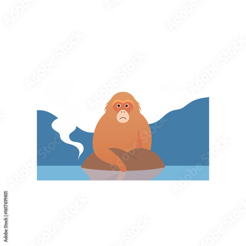 macaque sitting near hot spring steam