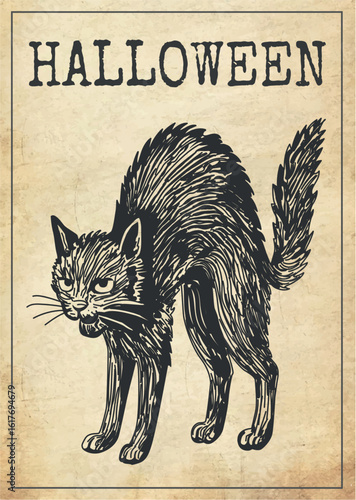 Vector Vintage Retro Halloween poster featuring a frightened black cat drawn in engraving style on aged paper texture. Perfect for spooky decor, classic horror prints, Halloween wall art