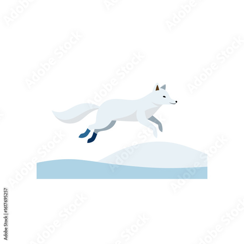 arctic fox in mid leap on snow covered field