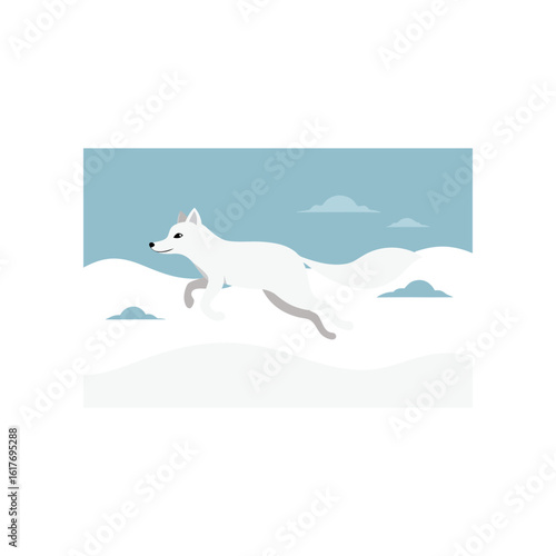 arctic fox in mid leap on snow covered field