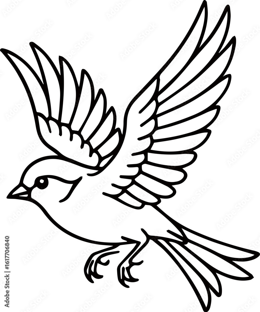 Fototapeta premium Sparrow outline drawing Svg Png