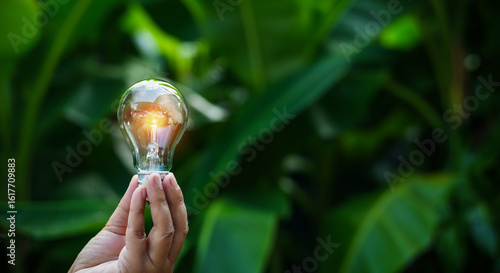 light bulbs green on background