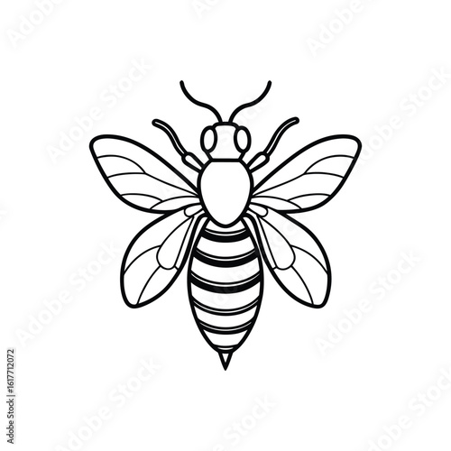 Bee line art drawing, bumblebee line art, honey, bee line art