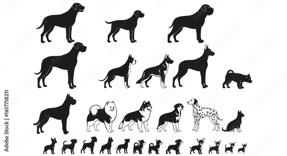 Fototapeta premium Collection of dog breed silhouettes in various sizes and shapes on a white background vector art