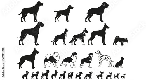 Collection of dog breed silhouettes in various sizes and shapes on a white background vector art