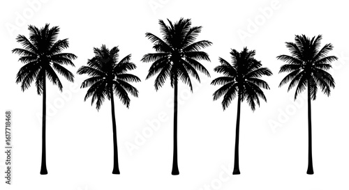 Silhouette of five palm trees in a row against a white background in a minimalist composition
