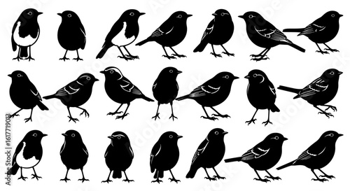 A collection of various bird silhouettes in different poses on a white background display