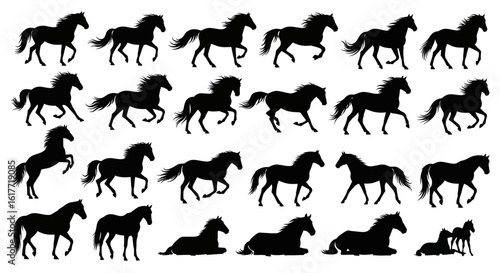 A pattern of black horse silhouettes in various poses on a white background in a repeating arrangement