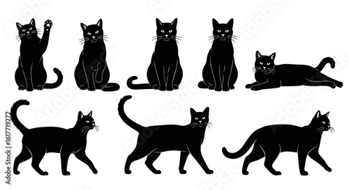 A collection of black cat illustrations in various poses on a white background isolated image