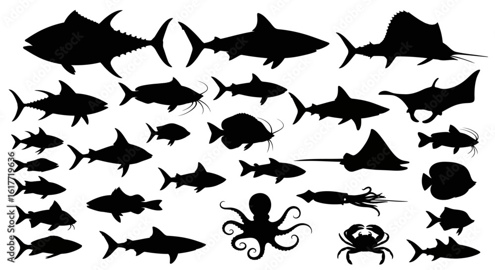 Fototapeta premium Silhouette of various sea creatures including fish sharks rays and invertebrates in a group