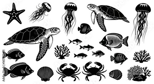 A collection of black and white sea creatures including turtles jellyfish and various fish species