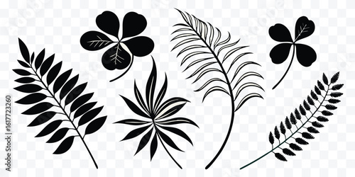 Collection of diverse black plant silhouettes creating an organic botanical pattern for design and decoration purposes featuring fern leaves and clover