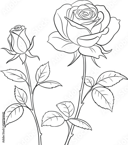 Elegant black and white rose flower illustration, botanical line drawing, nature-inspired floral sketch for greeting cards, coloring pages, print decor