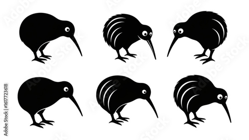 Six kiwi birds isolated on white background