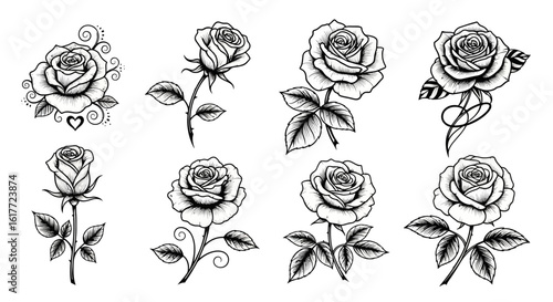 Collection of eight rose flower illustrations with various designs and leaf arrangements in black and white
