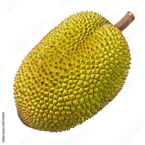 Fresh Ripe Jackfruit Isolated on Transparent Background – PNG