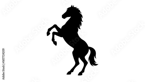 Silhouette of a rearing horse isolated on white background