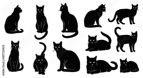Black Cat Collection: A striking illustration showcasing a collection of sleek black cats, each in a unique pose, perfect for conveying elegance and mystery.