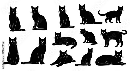 Black Cat Collection: A striking illustration showcasing a collection of sleek black cats, each in a unique pose, perfect for conveying elegance and mystery.