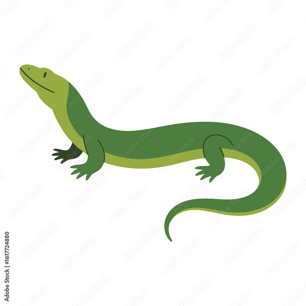 Fototapeta premium Skink vector illustration on white background.