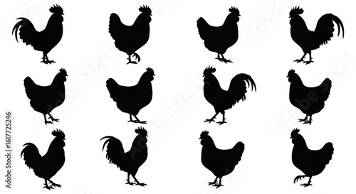 Shadowed Poultry Collection: a variety of elegant rooster and hens. Perfect for designs.