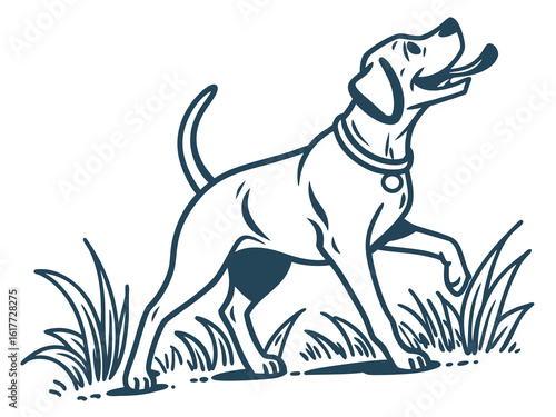 Majestic Labrador Retriever in Hunting Pose
