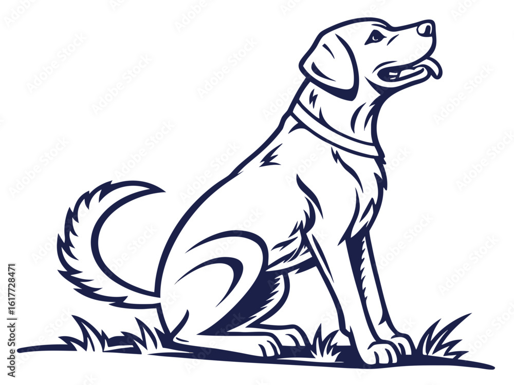 Obraz premium Majestic Labrador Retriever in Hunting Pose