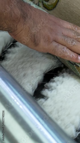 Powerful Carpet Washer Cleaning Stubborn Stains