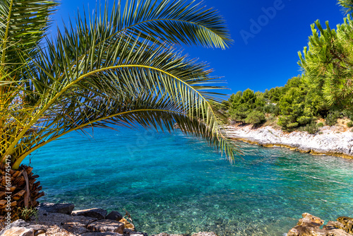 Fototapeta Naklejka Na Ścianę i Meble -  Relax in the shade of palm trees on the picturesque Tatinje beach in Croatia,