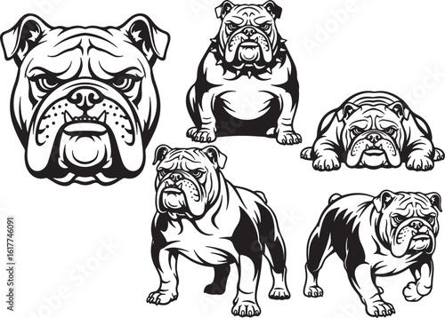 Bulldog illustrations black white animal black and white, bulldog, dog, animal, illustration, black and white, outline, graphic, head, sitting, lying, standing, paws, face, portrait, canine, breed, do