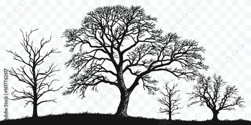 Silhouette of bare trees in winter against a transparent backdrop offering design versatility and seasonal aesthetics for creative projects