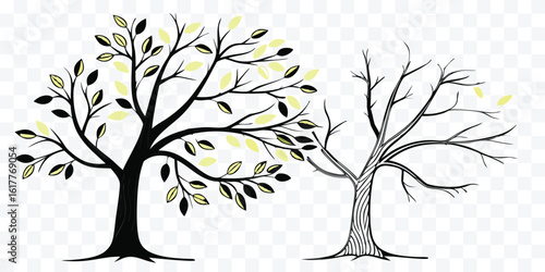 Artistic depiction of two trees representing life cycles and seasonal changes with stylized leaves and branches on transparent background