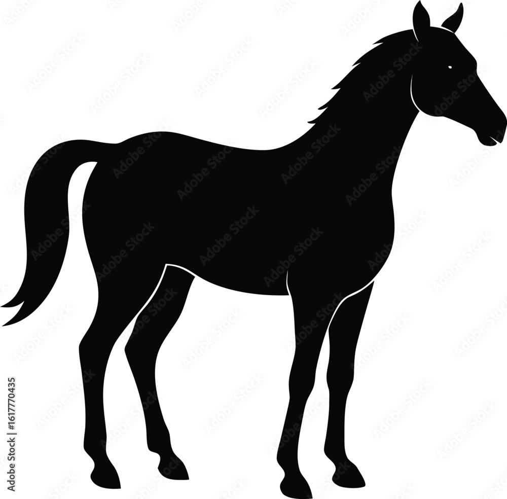 Obraz premium Basic Horse Silhouette