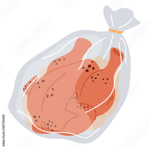 Chicken with spices and marinade in plastic bag for baking in oven. Meat preparation. Raw broiler in pack. Dinner cooking. Poultry preparing in stove. Uncooked bird. Vector food product