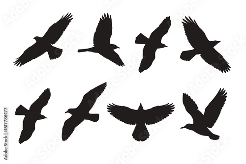 flying bird silhouette set vector  