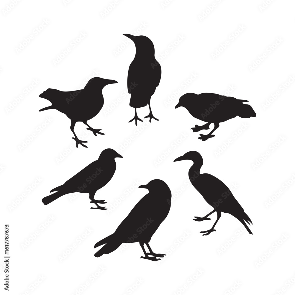 Fototapeta premium Group of bird silhouettes in various poses vector isolated on white background.