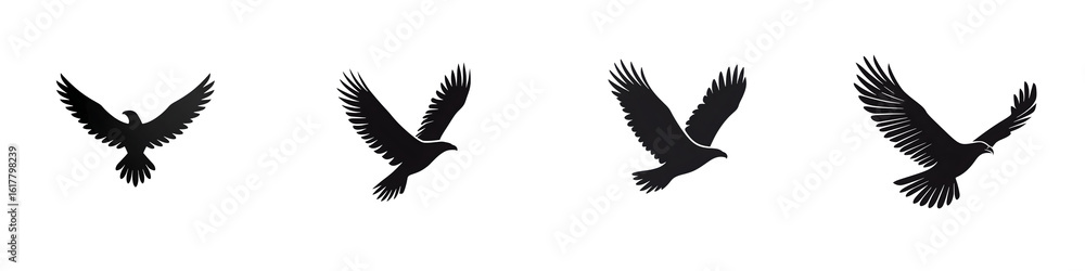 Fototapeta premium Eagle Silhouette Set Isolated on White Background