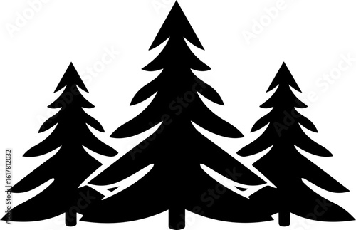 Three silhouetted evergreen trees in a natural forest setting