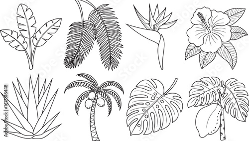 Exotic Tropical Flora Line Art Collection: Banana Leaf, Palm, Hibiscus, Monstera, Bird of Paradise Outlines