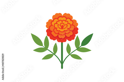 orange red marigold flowers with mango leafs