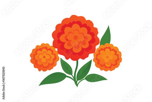 orange red marigold flowers with mango leafs
