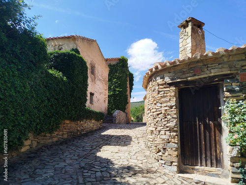 Calles del Pueblo de Valdelavilla (Soria) en verano